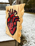 Anatomical Heart Carving in red