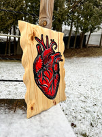 Anatomical Heart Carving in red