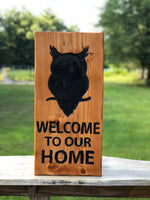 Welcome to our home owl